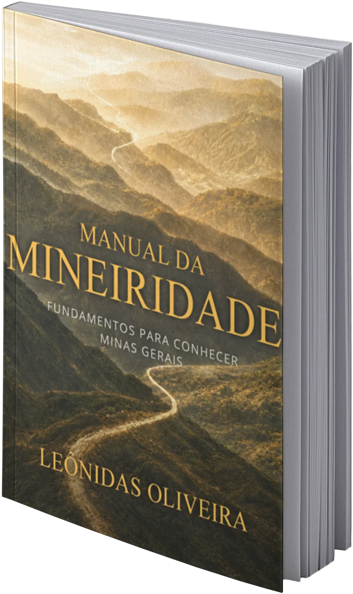 Capa do livro Manual da Mineiridade